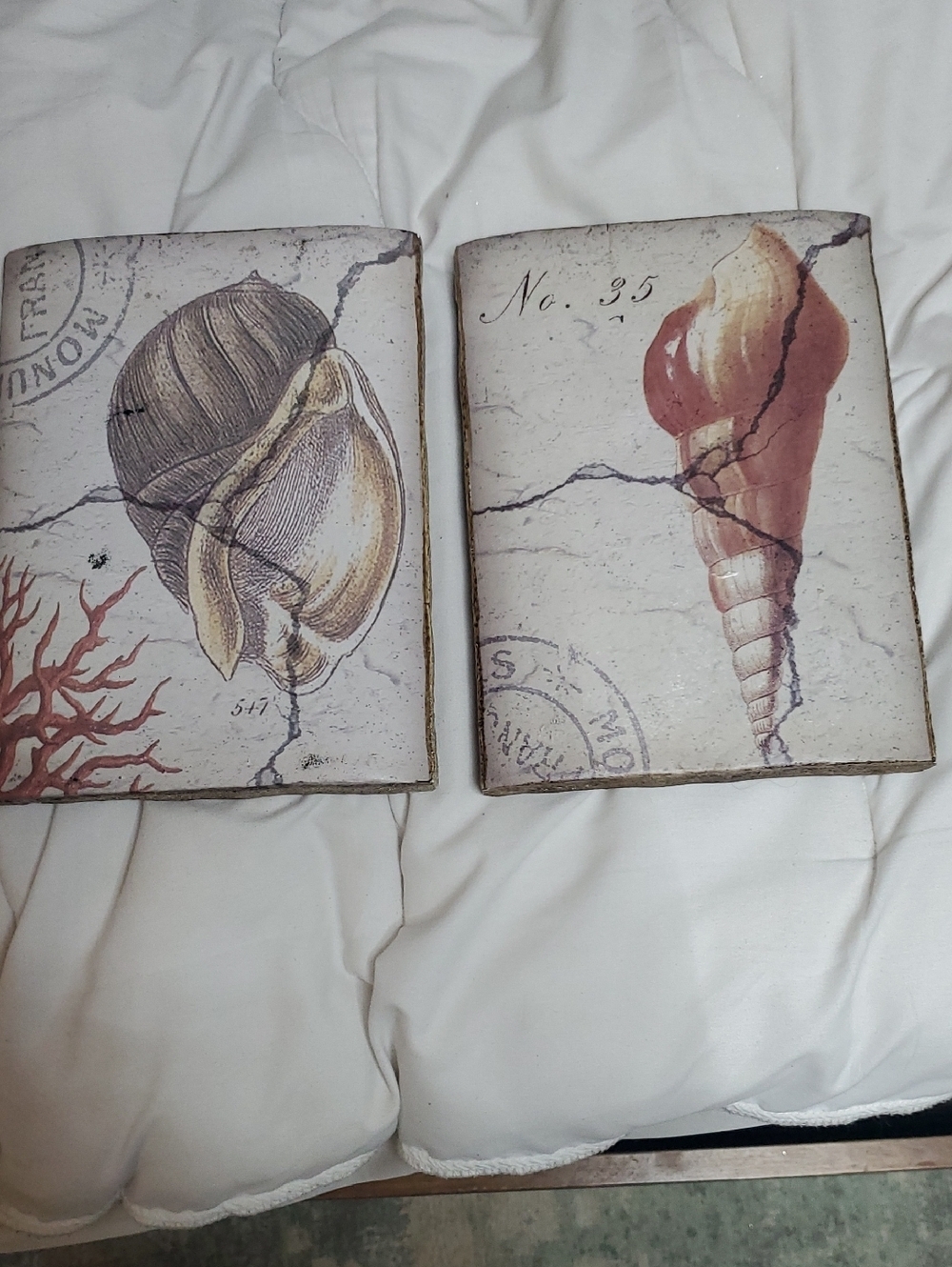 Set of Two Coastal Shell Wall Art Prints - Beige and Brown